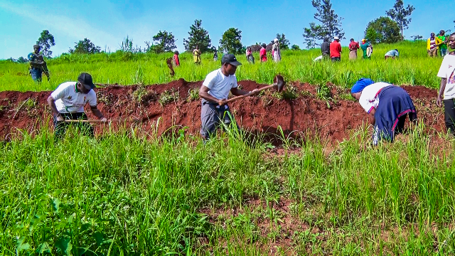 gitega-liboire-bigirimana-mobilise-karusi-contre-l-erosion-des-sols
