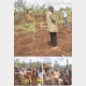 Burundi : La population de Gishubi invités à pratiquer l'agriculture moderne