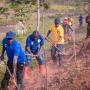 Gitega : La DPEAE mise sur les courbes de niveau pour freiner l'érosion et améliorer la production...
